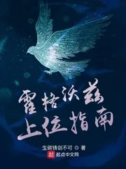 《霍格沃兹上位指南》小说封面