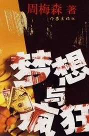 《梦想与疯狂》小说封面