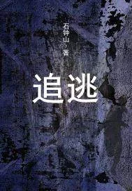 《追逃》小说封面