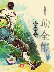 《绿茵之十项全能》小说封面