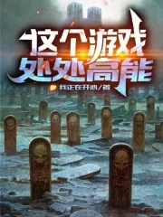 《这个游戏处处高能》小说封面