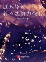 《进入轮回空间的我不想努力修行》小说封面