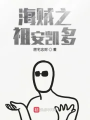 《海贼之祖安凯多》小说封面