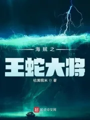 《海贼之王蛇大将》小说封面