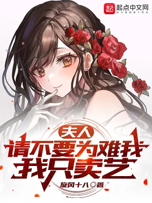 《夫人，请不要为难我，我只卖艺》小说封面
