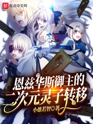 《恩兹华斯御主的二次元灵子转移》小说封面