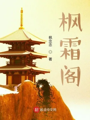 《枫霜阁》小说封面