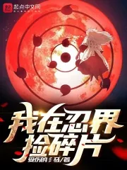 《我在忍界捡碎片》小说封面