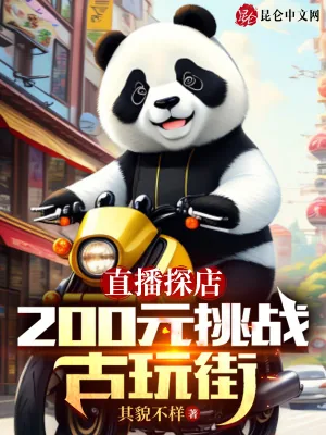 《直播探店:200元挑战古玩街》小说封面