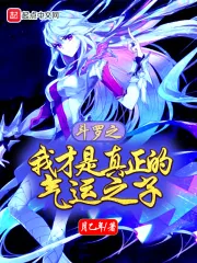 《斗罗之我才是真正的气运之子》小说封面