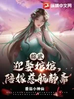 《综武：迎娶婠婠，陪嫁慈航静斋》小说封面