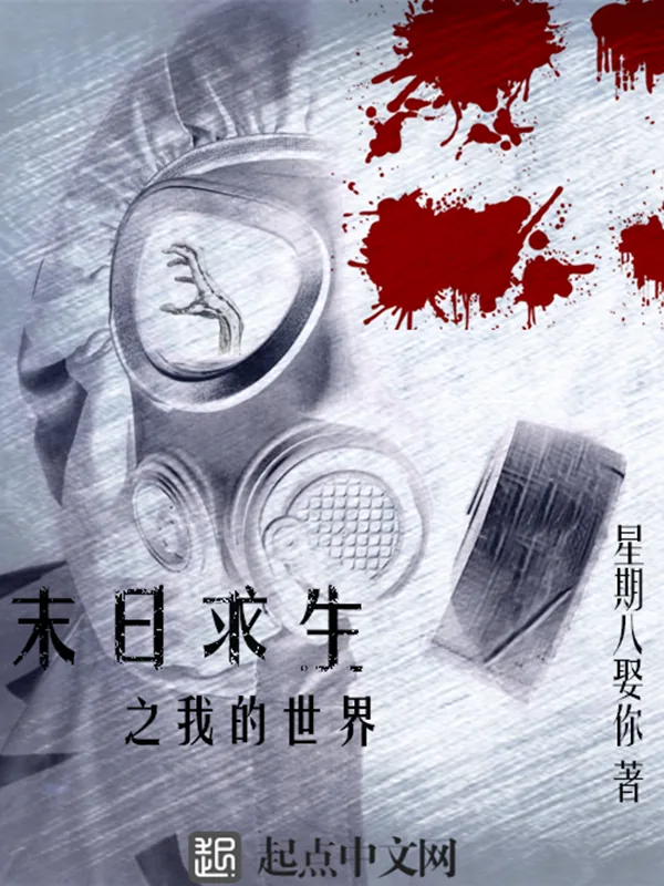 《末日求生之我的世界》小说封面