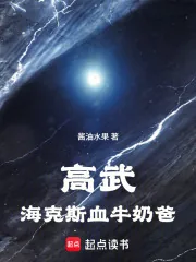 《高武:海克斯血牛奶爸》小说封面