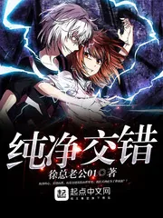 《纯净交错》小说封面