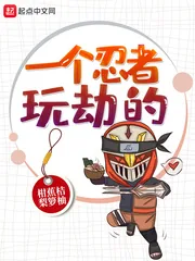 《一个忍者玩劫的》小说封面