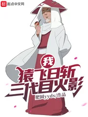 《我，猿飞日斩！三代目火影》小说封面