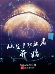 《从生产职业者开始》小说封面