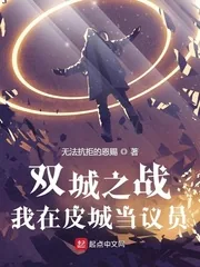 《双城之战：我在皮城当议员》小说封面