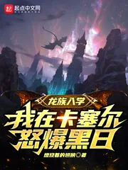 《龙族入学,我在卡塞尔怒爆黑日》小说封面
