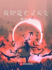 《我即是亡灵天灾》小说封面