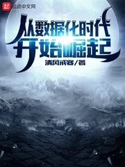 《从数据化时代开始崛起》小说封面