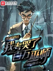 《哈利波特:我考哭了百万巫师》小说封面