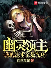 《幽灵领主：我的法术全是光环》小说封面