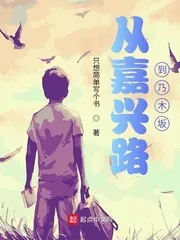 《从嘉兴路到乃木坂》小说封面