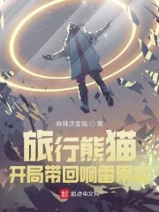 《旅行熊猫：开局带回响雷果实》小说封面