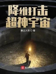 《降维打击超神宇宙》小说封面