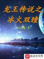 《龙王传说之冰火双瞳》小说封面