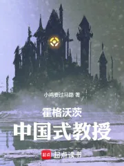 《霍格沃茨:中国式教授》小说封面