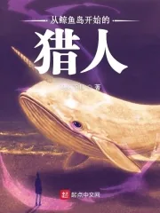 《从鲸鱼岛开始的猎人》小说封面