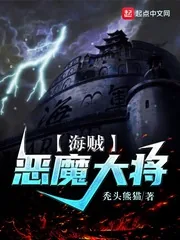 《海贼：恶魔大将》小说封面