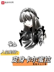《人在奥特,变成卡尔蜜拉》小说封面
