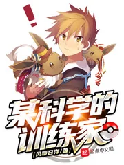 《某科学的训练家》小说封面