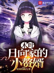 《木叶:日向家的小赘婿》小说封面