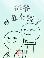 《木叶:斑爷形象全毁了》小说封面