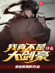 《我真不是什么大剑豪》小说封面