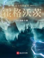 《从卡玛泰姬到霍格沃茨》小说封面