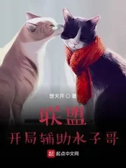 《联盟：开局辅助水子哥》小说封面