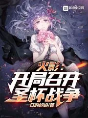 《火影：开局召开圣杯战争》小说封面