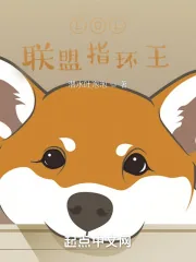 《LOL：联盟指环王》小说封面