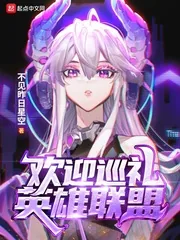 《欢迎巡礼英雄联盟》小说封面