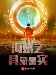 《海贼之具象果实》小说封面