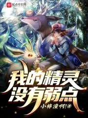 《我的精灵没有弱点》小说封面