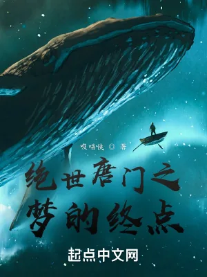 《绝世唐门之梦的终点》小说封面