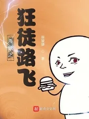 《海贼之狂徒路飞》小说封面