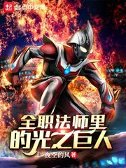 《全职法师里的光之巨人》小说封面