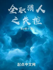 《全职猎人之失控》小说封面